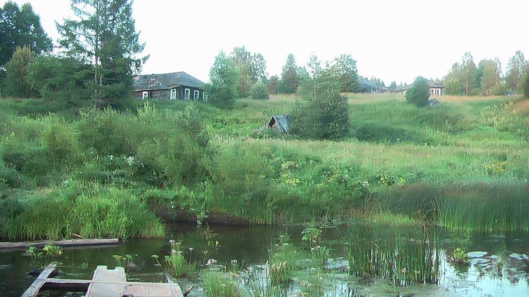 Передать воду вохтога. Вохтога Вологодская область. Деревня Демьяново Александровский район. Вохтога фото. Моя любимая Вохтога.